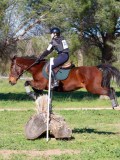 IMG_0273 IMG_0273