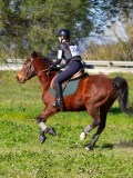 IMG_0277 IMG_0277