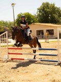 DSC00153 DSC00153