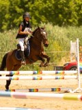 DSC00154 DSC00154