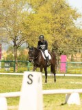 DSC09190 DSC09190