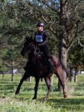 IMG_0310 IMG_0310