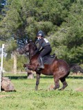 IMG_0317