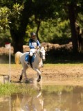 DSC01473 DSC01473