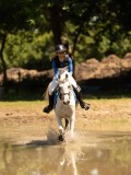 DSC01475 DSC01475