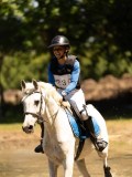 DSC01478 DSC01478