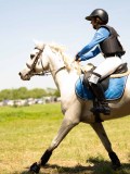 DSC01480 DSC01480