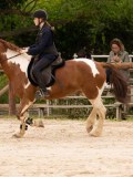 DSC09769