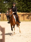 DSC04484 DSC04484