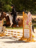 DSC04488 DSC04488