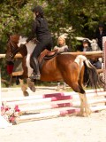 DSC04489 DSC04489