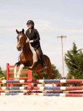 DSC04490 DSC04490
