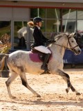 DSC03575 DSC03575