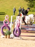 DSC03588 DSC03588