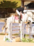 DSC03589 DSC03589