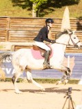 DSC03590 DSC03590