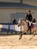 DSC03598 DSC03598
