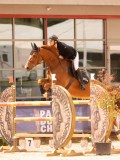 DSC00545 DSC00545
