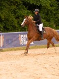 DSC00574 DSC00574