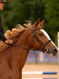 DSC00586 DSC00586