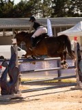 DSC05134 DSC05134