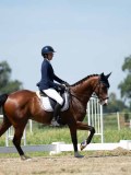 DSC07446 DSC07446