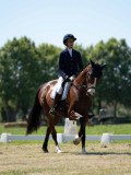 DSC07453 DSC07453