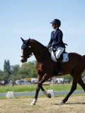 DSC07464 DSC07464
