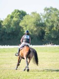 DSC08654 DSC08654