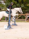 DSC00016 DSC00016