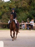 DSC07948 DSC07948