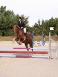 DSC07949 DSC07949