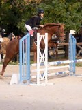 DSC07954 DSC07954