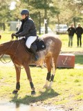 DSC00145 DSC00145