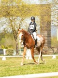 DSC09196