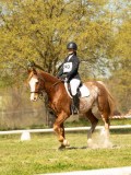 DSC09197
