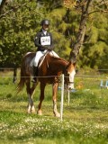 DSC09234 DSC09234