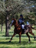 IMG_0058 IMG_0058