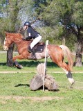 IMG_0065 IMG_0065