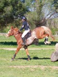 IMG_0067 IMG_0067