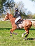 IMG_0069 IMG_0069