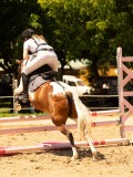 DSC00225 DSC00225