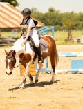 DSC00229 DSC00229