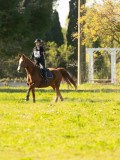 DSC00695 DSC00695