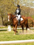 DSC09273 DSC09273