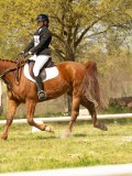 DSC09285 DSC09285