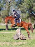 IMG_0166 IMG_0166