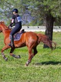 IMG_0172 IMG_0172