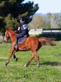 IMG_0177 IMG_0177
