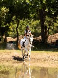 DSC01550 DSC01550